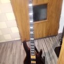 ESP LTD B-4E Natural Satin
