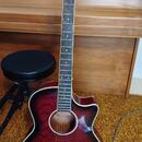 Elektroakustika Crafter EG-110CEQ/RS