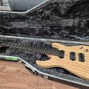 Caparison Dellinger 7 FX-AM - Made in Japan