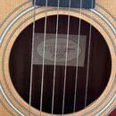 Prodám akustickou kytaru Taylor Model 110