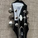 2012 semi-hollow body Epiphone Dot 
