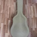 Art & Lutherie Americana CW Q1T + kufr