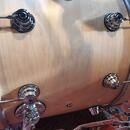 DW Collector's Series® Maple