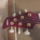 Yamaha TRB 6 JP2
