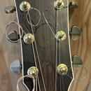Taylor 810 (2001)