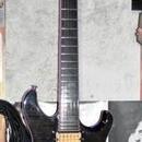 PRS Torero SE Floyd Rose