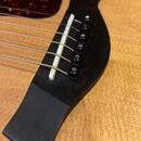 Taylor 810 (2001)