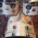 DW Collector's Series® Maple