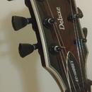 ESP LTD EC-1000ET Evertune