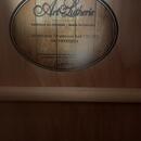Art & Lutherie Americana CW Q1T + kufr