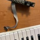 Expert Sleepers Disting Mk2