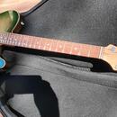 Suhr Alt T HH FTGB Limited Edition PV