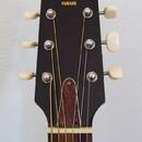 Yamaha FG-110 (1974), US model!