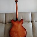 Harmony 335 