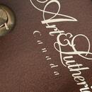 Art & Lutherie Americana CW Q1T + kufr