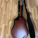 Art & Lutherie Americana CW Q1T + kufr