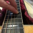 Taylor 810 (2001)