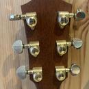 Taylor 810 (2001)