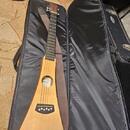 Martin Backpacker Steel