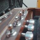 Martin D12X1AE