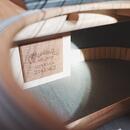 Martin D12X1AE