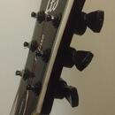 ESP LTD EC-1000ET Evertune