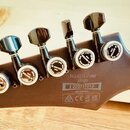 Ibanez RG 421 HPAM