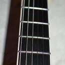 PRS Torero SE Floyd Rose