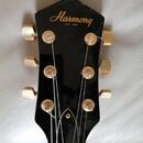 Harmony 335 