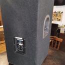 Samson Resound RS 15
