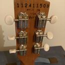 Gibson Les Paul Junior
