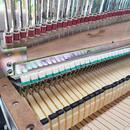 RHODES MARK II SeventyThree rok 1980 