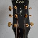 Cort gold 08 LB