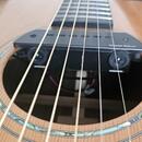 Snímač Seymour Duncan SA-6 Mag Mic