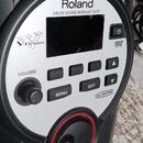 Roland TD-11.