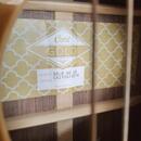 Cort gold 08 LB