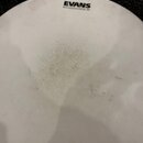 Blány Evans 16”, 12”