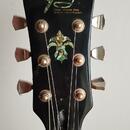 Fokus H Les paul 