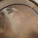 Tama Superstar Super Maple 80's 