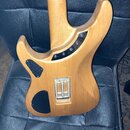 Washburn N4. rv.1993
