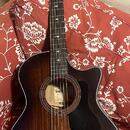Taylor 324ce V - Class Bracing