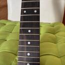 Nový nepoužitý krk pro Fender Stratocaster SLEVA !