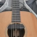 Snímač Seymour Duncan SA-6 Mag Mic
