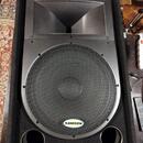 Samson Resound RS 15