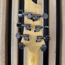 Schecter Demon-6 Black