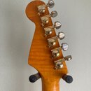 EMG aktive Partscaster
