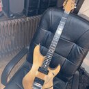 Washburn N4. rv.1993