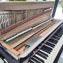 RHODES MARK II SeventyThree rok 1979 