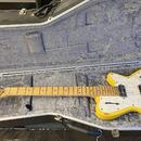 Godin Radiator Performance Series