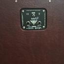 ESH Catr custom 30 W + GX 112  60